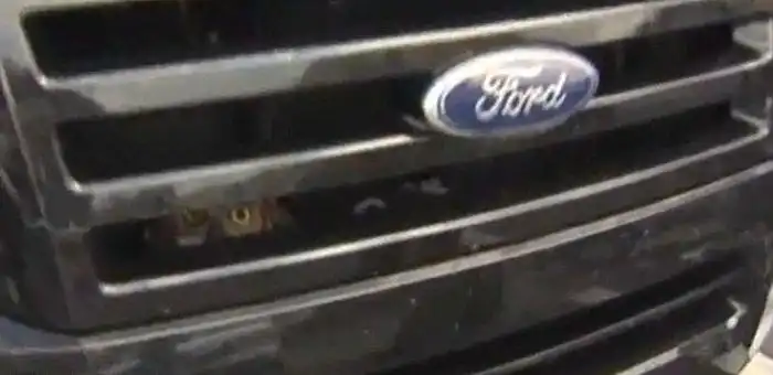 Столкновение совы и автомобиля на скорости 100 км/ч