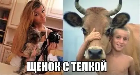 Трешовые картики абавсём:D (13.02.13)