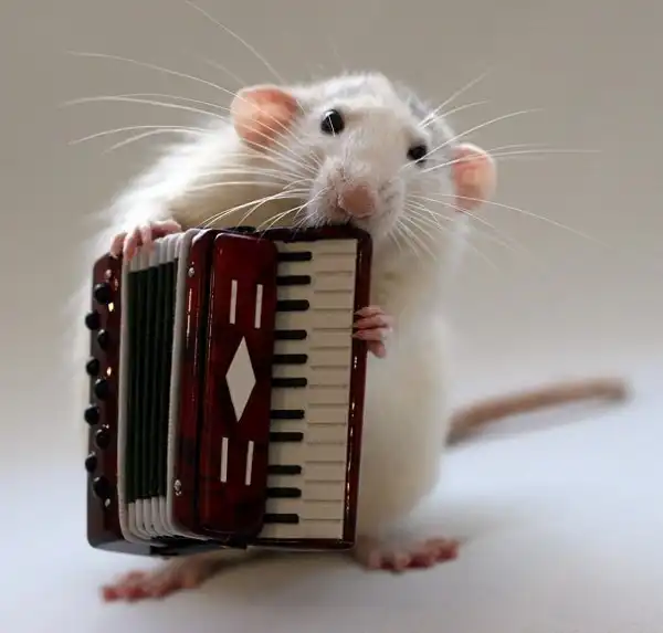 Картинко-комикс-микс.