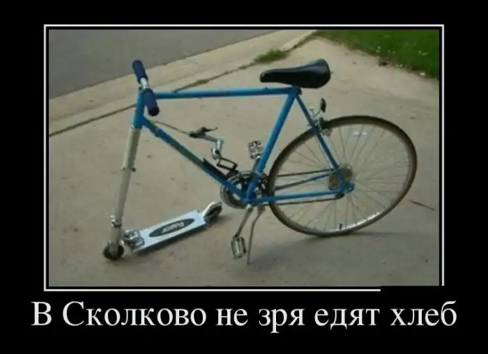 Картинки в черной рамке