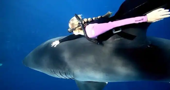 Необычные новости минувшей недели