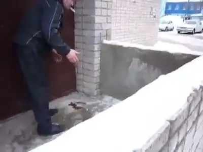 Застукали в процессе и привлекли к ответу!