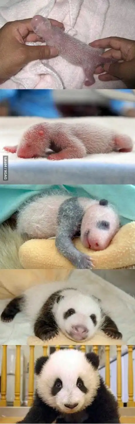 Загадка дня