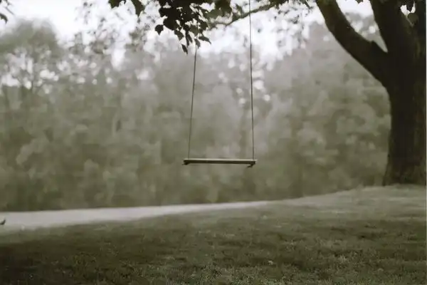 Обещание жизни