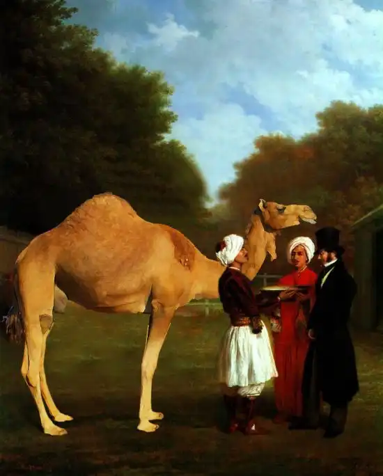 Жирафная фотожаба