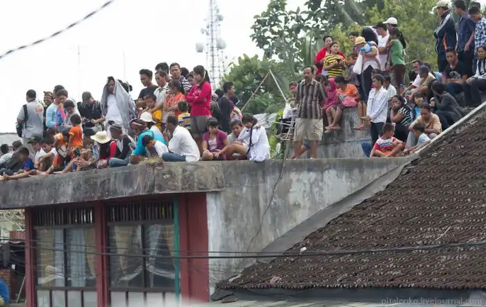 Ритуал кремации на острове Бали