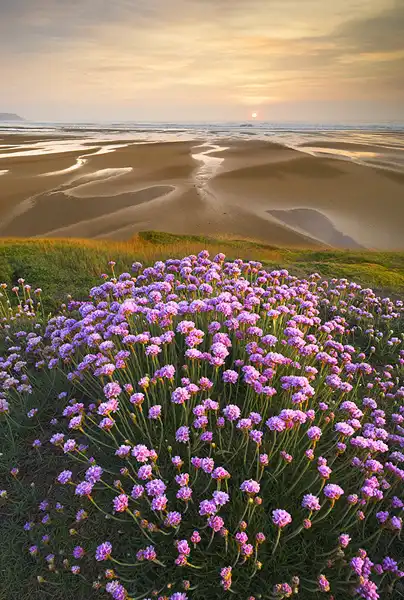 обедители конкурса International Garden Photographer of the Year