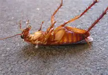 школоте не понять ! мой 9 пост!