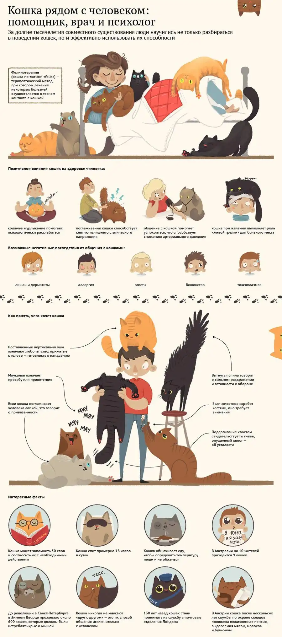 Коты и кошки в жизни человека