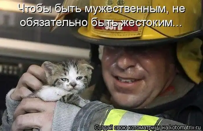 Лучшие котоматрицы недели