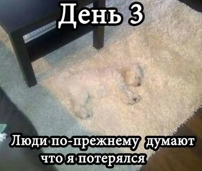 Прикольные картинки абавсём (15.03.13)