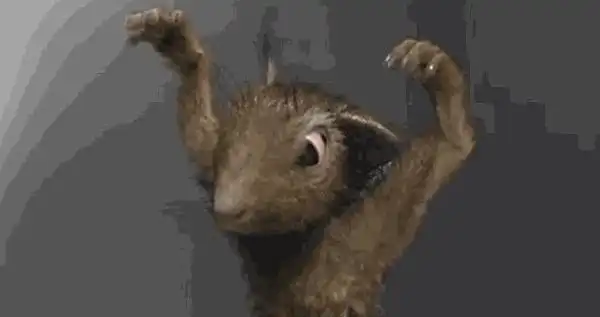 удар по ценам !