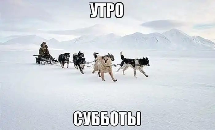 Приколы на тему циклона Хавьер в Минске