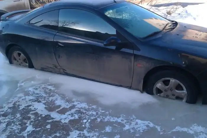 Приди, весна!