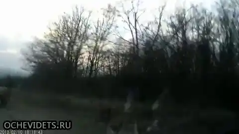 зая не плачь