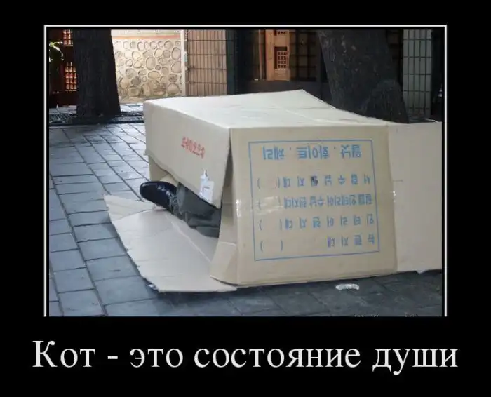 Картинки в черной рамке