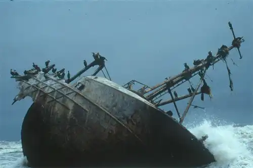 Берег скелетов