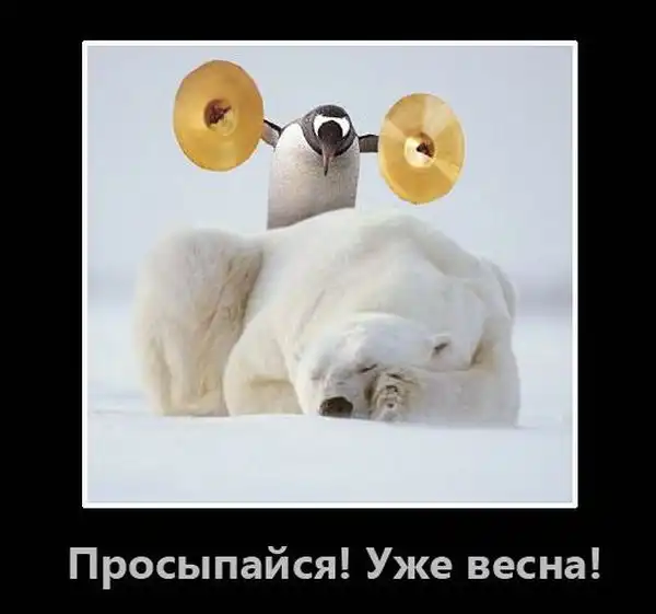 Картинки в черной рамке