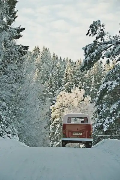 Соляночка =З