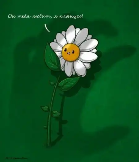 Фотоприколы