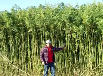 Разнообразная подборка =) Хорошего дня!