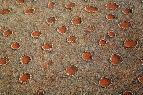 Тайна волшебных кругов в Намибии, раскрыта