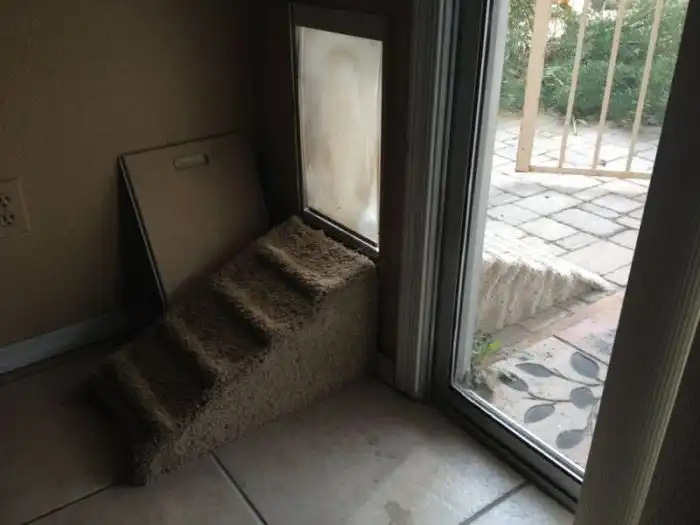 Как сделать жизнь своей собаки комфортной