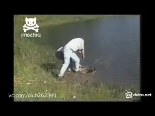 Спасение бобра