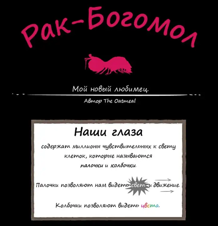 Рак-богомол