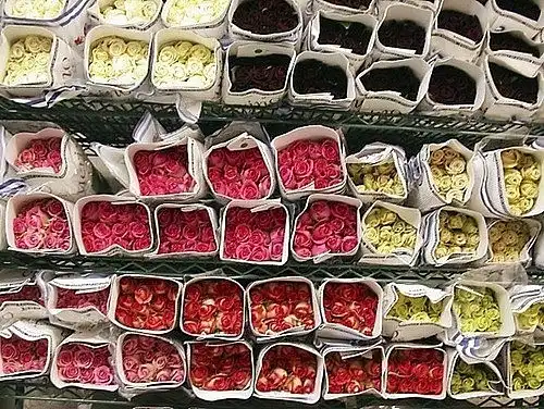 Просто позитивные фотографии