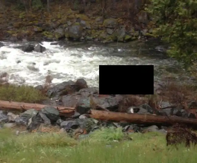 Девушка-водитель может праздновать свой второй день рождения