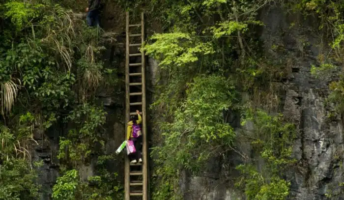 Трудный путь в школу