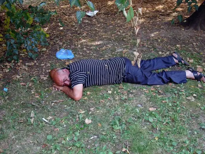 Бирюлёво во всей красе