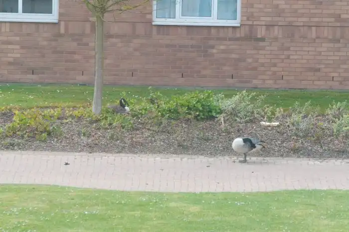 Не хотел бы я оказаться у "него" на пути