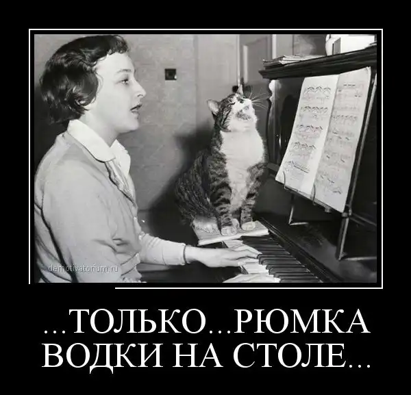 Картинки в черной рамке