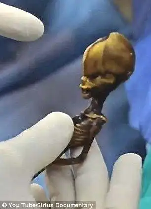 Тайна пришельца из Чили раскрыта