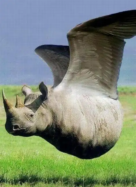 Разнообразная подборка =) УлыбОК!