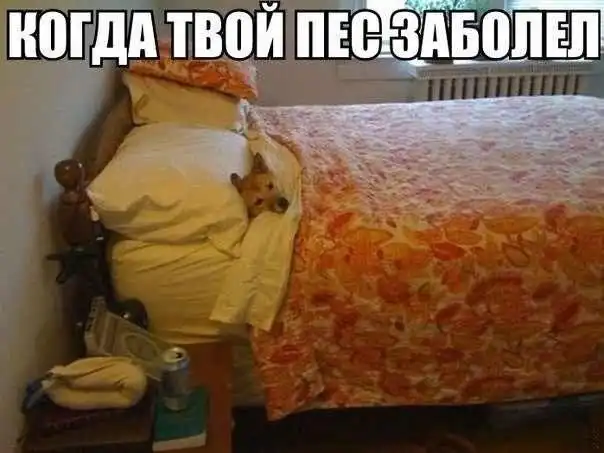 Трешовые картики абавсём:D (13.05.13)