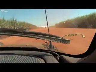 Предотвращение бегства