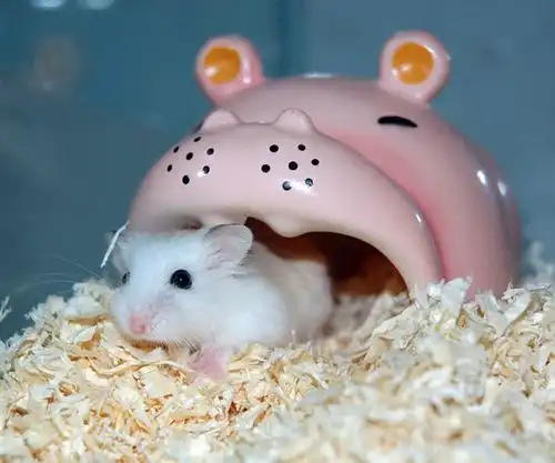 РАЗНООБРАЗНАЯ ПОДБОРКА