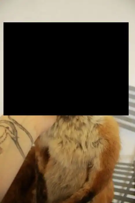 Усовершенствованный "упоротый лис"