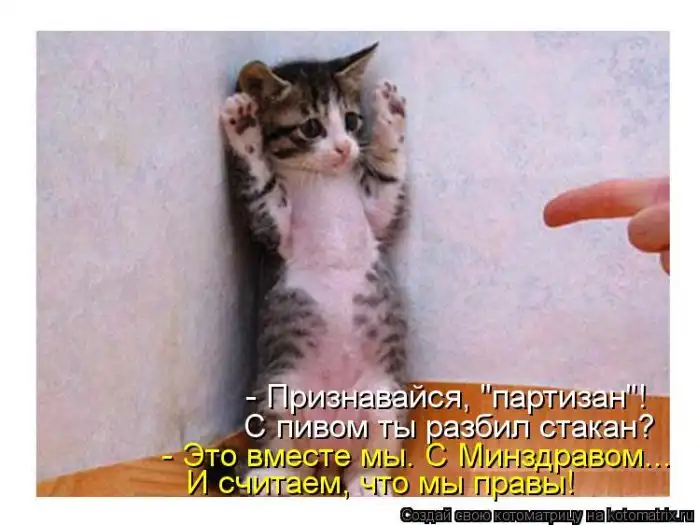 Лучшие котоматрицы недели