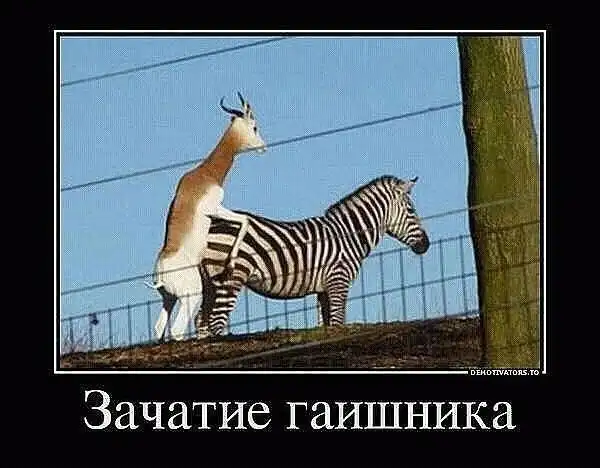 РАЗНООБРАЗНАЯ ПОДБОРКА