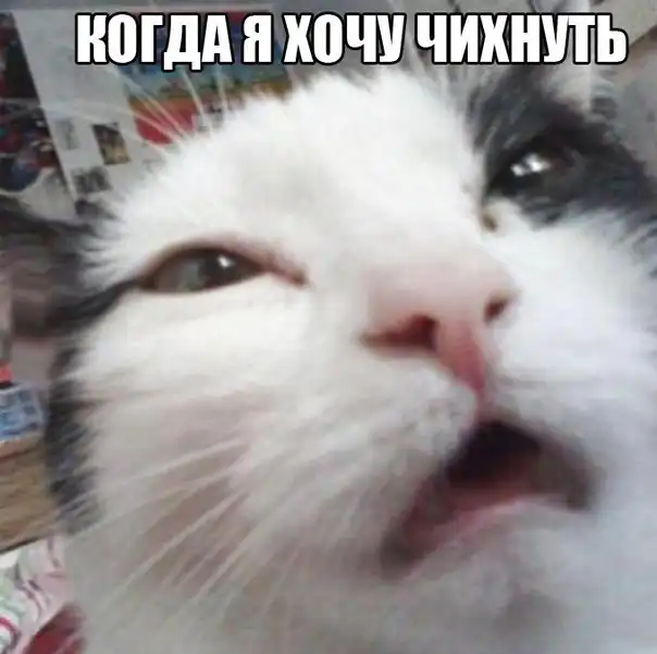 Разнообразная подборка =) Всем хорошего настроения!