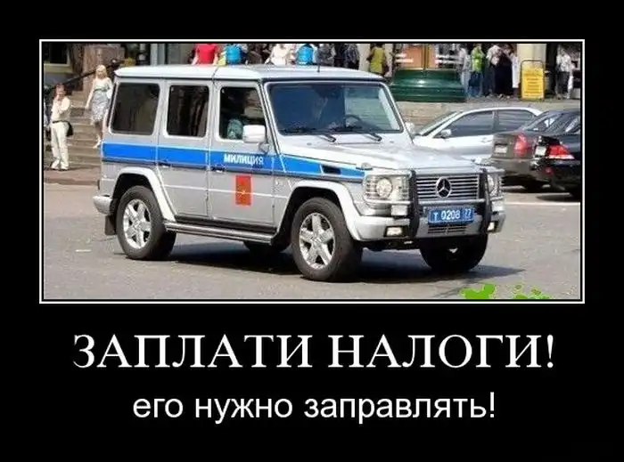 Картинки в черной рамке