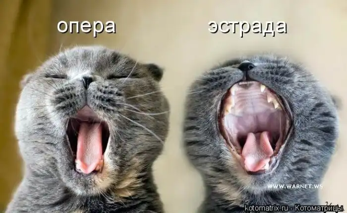 Лучшие котоматрицы недели