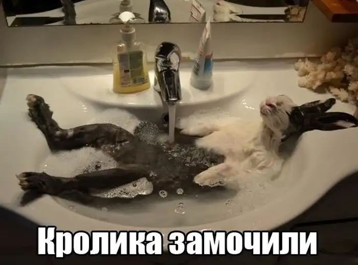 Прикольные картинки абавсём (31.05.13)