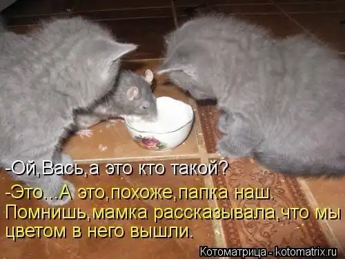 Картинко-комикс-микс.