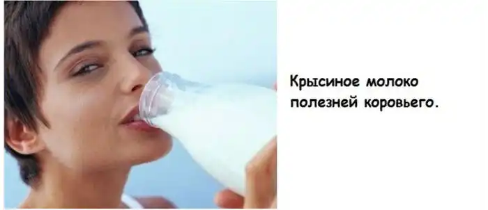 Советы для мужчин и факты обо всем на свете