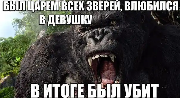 Во всем виноваты женщины!